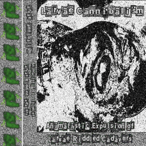 Larvae Cannibalism : Animalistic Expulsion of Larvae-Riddled Cadavers